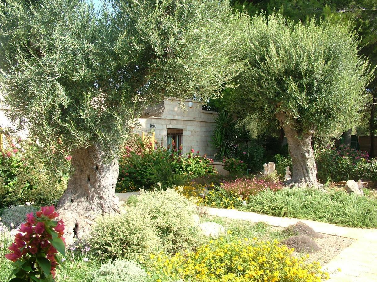 Villa Urania Torre San Giovanni Ugento Luaran gambar